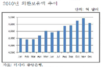2010년 외환보유액 추이