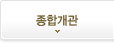 종합개관